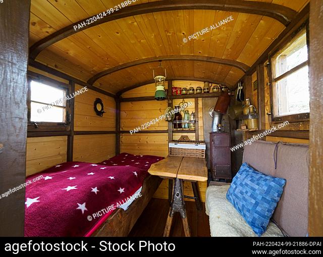 12 April 2022, Brandenburg, Kienitz: A bed, a small table, a seat and a shelf on the wall can be found at the ""Erlenhof"" in the historic shepherd's caravan...