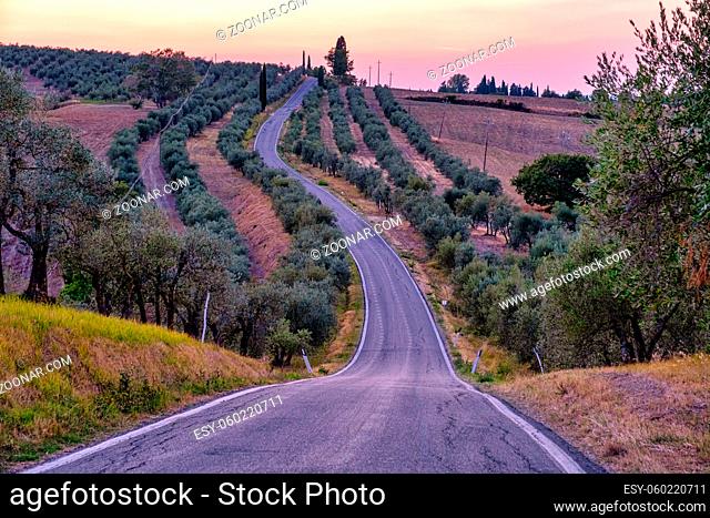 Beautiful cypress-lined road in the light of the setting sun, curved road in the hills of Toscane, Tuscany Italy