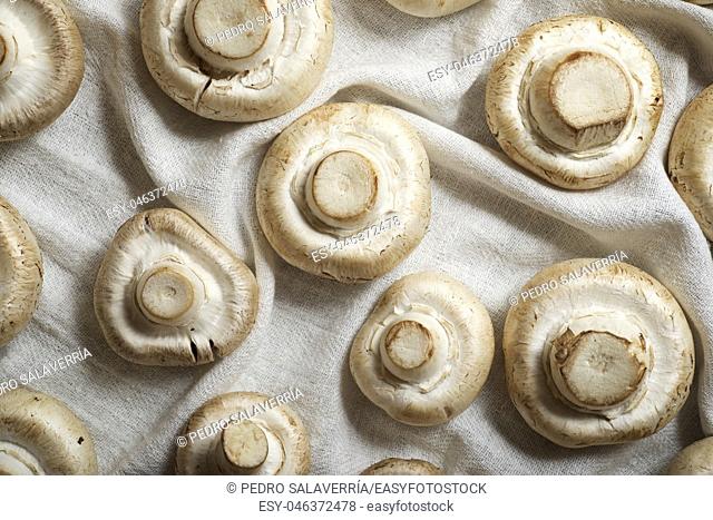 Mushrooms on a white tablecloth