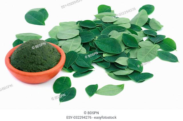 Edible moringa leaves with ground paste in a pottery