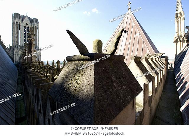 France, Marne, Reims, walking alongs cathedral roofs