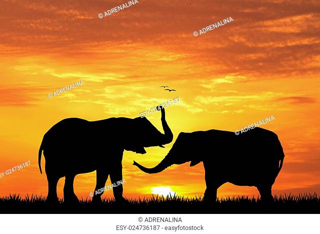 illustration of elephant silhouette at sunset