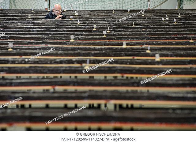 A teachers at the Philipp Reis school photographs a giant ""hedgehog slice"" in a gymnasium during an attempt to break a world record in Berlin, Germany