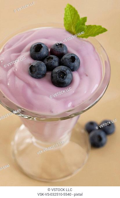 USA, Illinois, Metamora, Blueberry dessert in glass