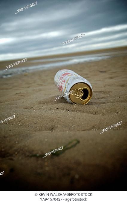 Beer can on the shoreline