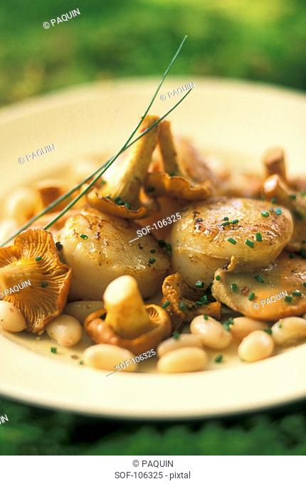 scallops with chanterelles and white kidney beans