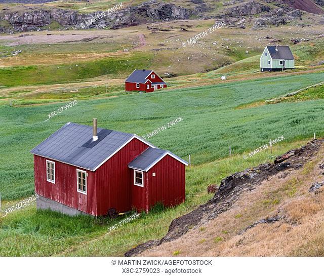 The settlement Qassiarsuk, probably the old Brattahlid, the home of Erik the Red. America, North America, Greenland, Denmark