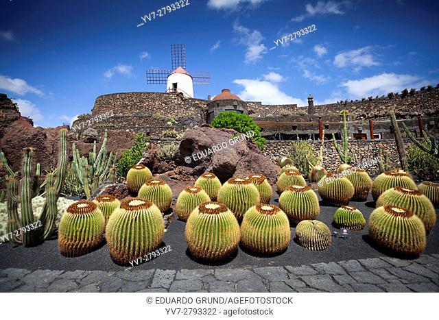 The Lanzarote Cactus Garden is a Cactarium located in an old quarry of volcanic sand extraction (picón) that Lanzarote farmers use to cover their crops and thus...