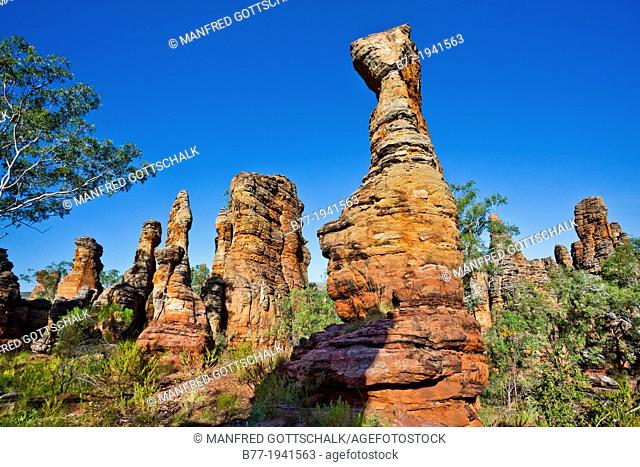 Australia, Northern Territory, Limmen National Park, Southern Lost City, slica glazed sandstone pillas, towers and pinnacles give the impression of an enchanted