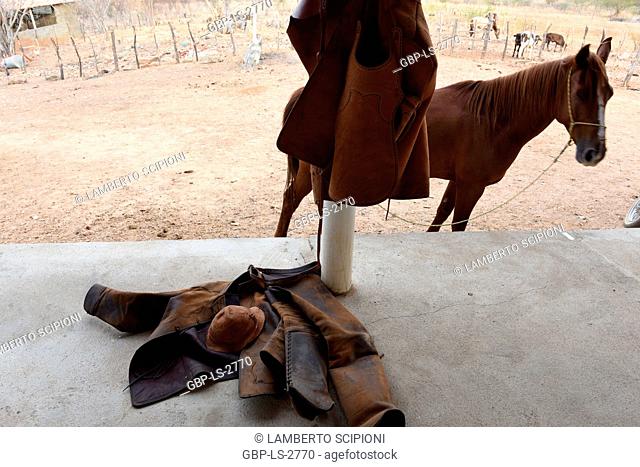 Clothing; horse; 2017, Caatinga, Boa Vista, Paraíba, Brazil