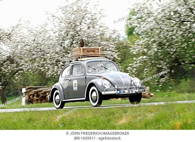 VW Beetle with skis and luggage on the roof, built in 1961, Classic Car Rally 2010 Wetzlar, Hesse, Germany, Europe