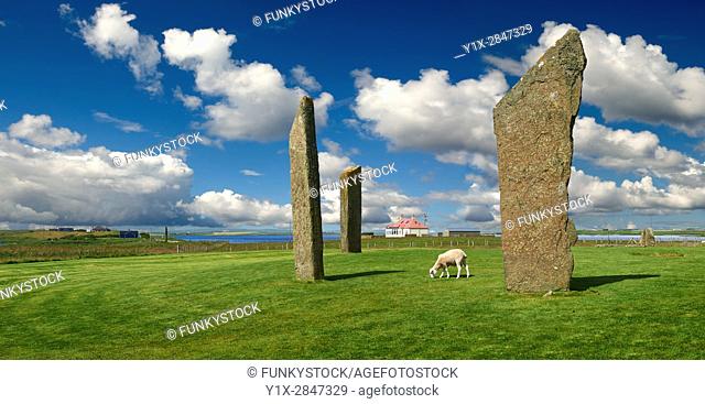 Neolithic Standing Stones of Stenness, Isle of Orkney, Scotland