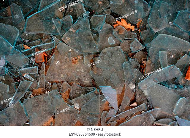 Picture of a Broken glass pieces on the floor