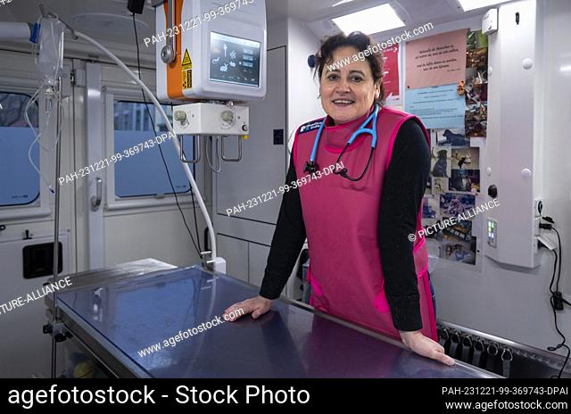 FILED - 24 November 2023, Berlin: Vet Jeanette Klemmt stands in her mobile veterinary practice during a consultation. The HundeDoc project mainly treats animals...
