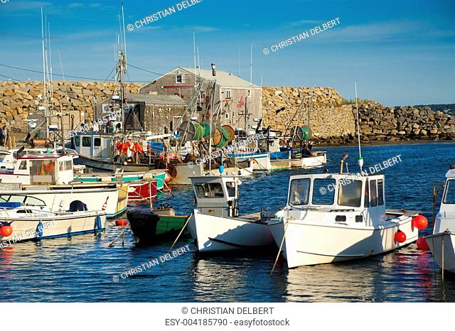 Harbor with fishing boats