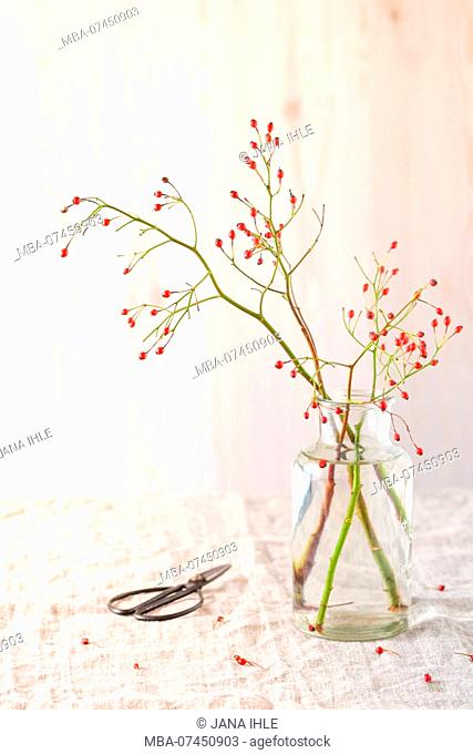 Autumn still life with rosehip branches in a simple glass vase