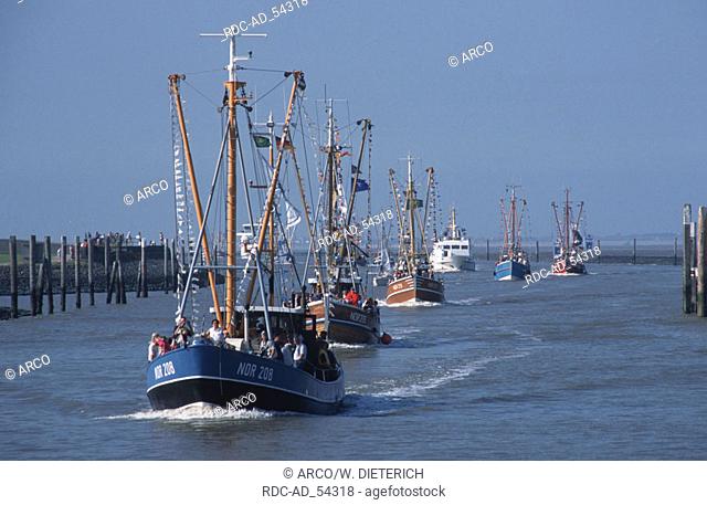 Shrimp cutter regatta Norddeich Lower Saxony Germany