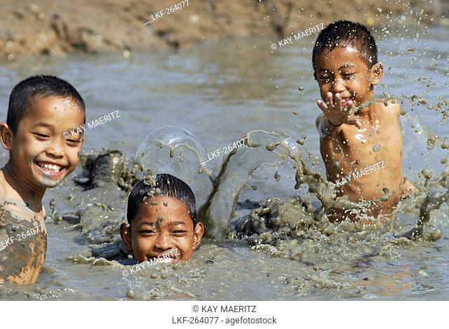 Three boys catching fish in a muddy pond, Central Thailand, province Lopburi, Thailand, Asia