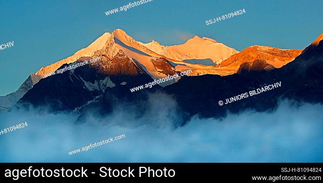 Mountain peaks above the Mattertal in the first morning light: Weisshorn, Brunegghorn, Topali-Weisshorn and Bishorn. Valais, Switzerland
