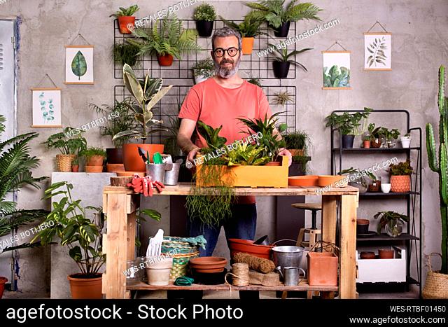 Smiling mature man holding potted plants tray at home