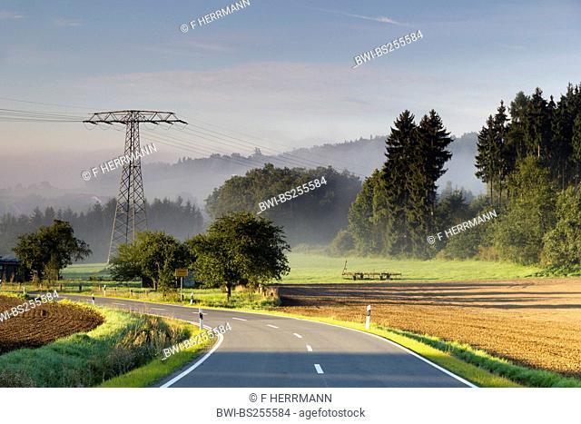 country road with meadows in morning mist clearing away, Germany, Saxony, Vogtlaendische Schweiz
