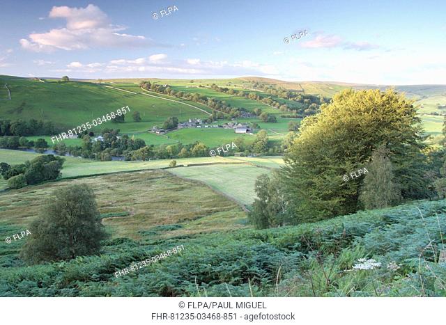 View of farmland in valley looking towards Appletreewick, River Wharfe, Wharfedale, Yorkshire Dales N P , North Yorkshire, England, august