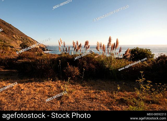 A beautiful sunset view of Big Sur, the region of California's central coast that stretches for about 110 km between Carmel-by-the-Sea to the north and San...