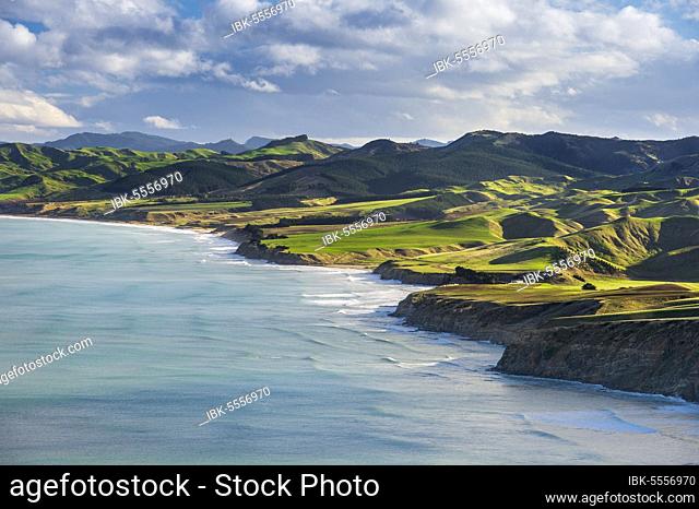 Castlepoint coastline, mountain landscape with green hills and pasture land, Masterton, Wellington, New Zealand, Oceania
