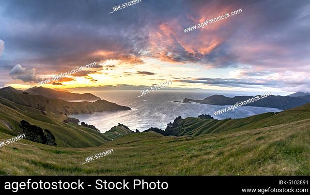 View of meadows and rocky coast at sunset, French Pass, Marlborough region, Marlborough Sounds, Picton, South Island, New Zealand, Oceania