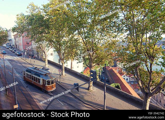 The historic trams of Porto