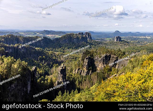 05 October 2023, Saxony, Schmilka: Deciduous trees in the National Park ""Saxon Switzerland"" begin to turn autumnal colors