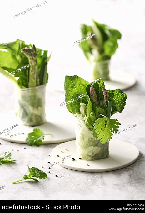 Green summer rolls with asparagus