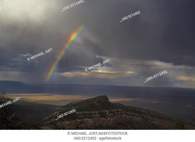 A rainbow appears during a monsoon at Marble Canyon, Arizona