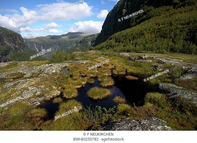 bog and pond in landscape of Aurlandsdalen, Norway
