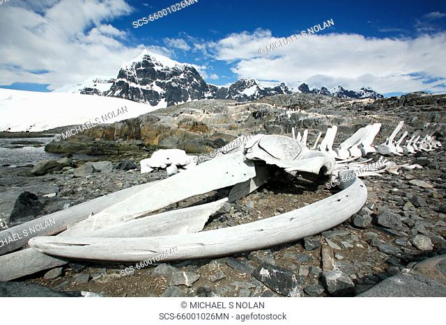 The old British Whaling Station at Port Lockroy and the whalebones across the bay at Point Jougla near Weincke Island, Antarctica