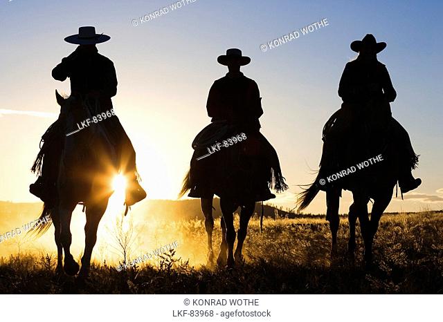 cowboys riding at sunset, Oregon, USA