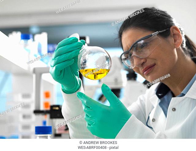 Biotech Research, Scientist swirling a chemical formula in a laboratory flask during a experiment