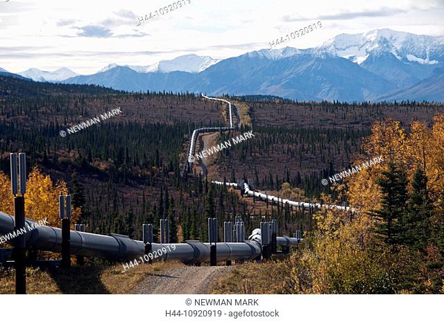 Alaska, oil, pipeline, near Denali highway, USA, United States, America, energy, infrastructure
