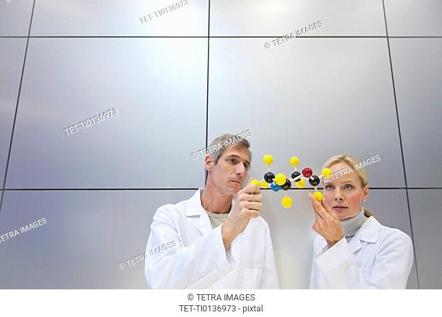 Reseachers holding molecular model