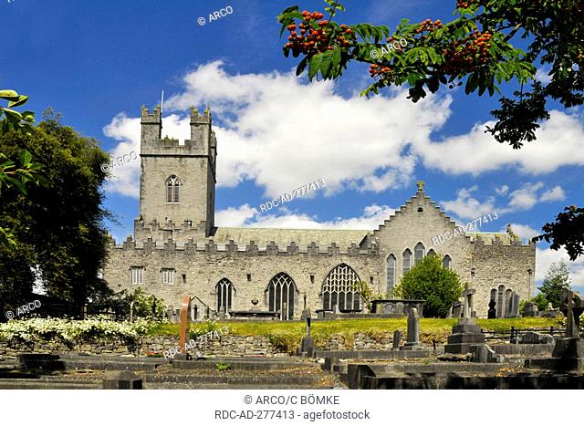St. Mary\'s Cathedral, Limerick, County Limerick, Ireland / Limerick Cathedral