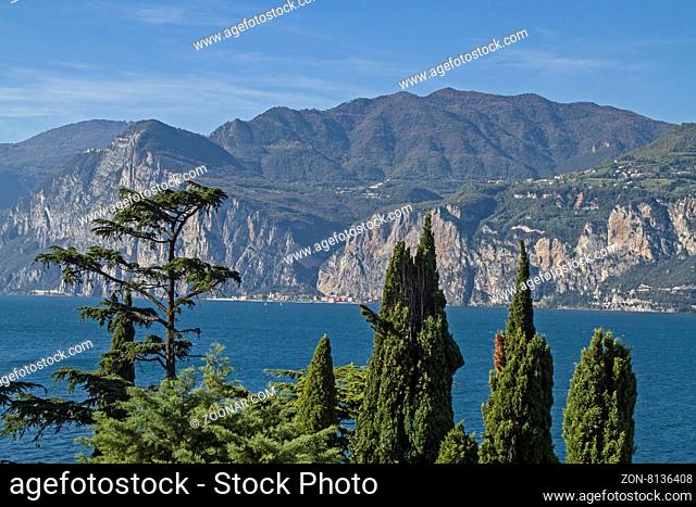 Mediterane Vegetation am Gardasee