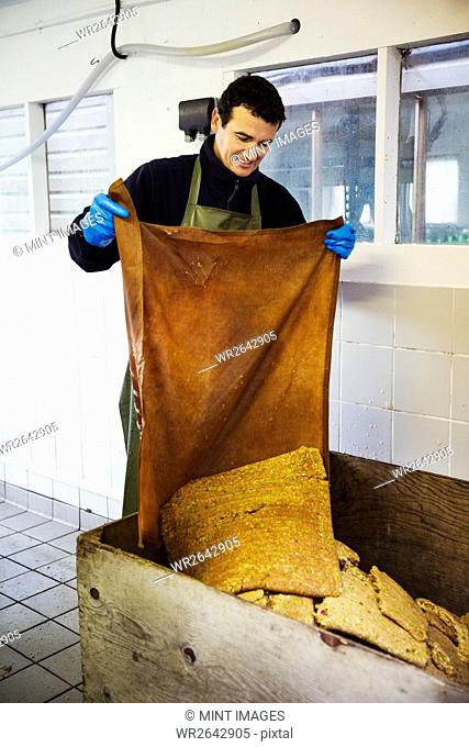 A man discarding the apple pulp after pressing