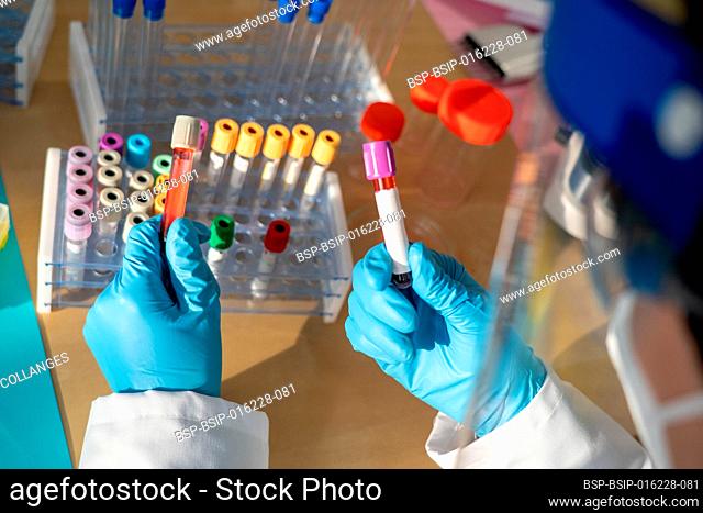 Laboratory technician performing blood tests in the laboratory