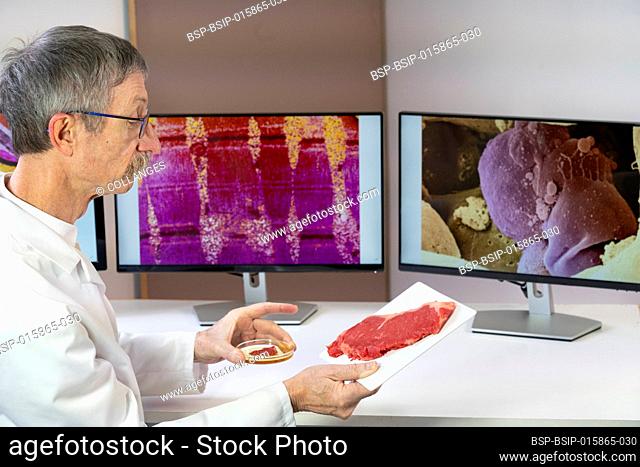 Researcher presenting meat created from stem cells in front of computer screens with medical images of muscle and stem cell