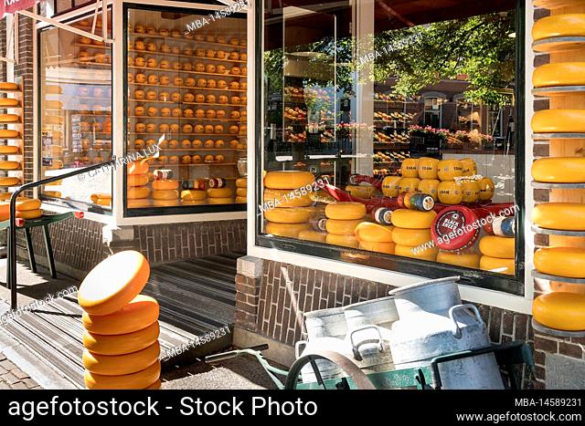 Netherlands, Edam, old town, spui, cheese store, window with cheese wheels, decoration