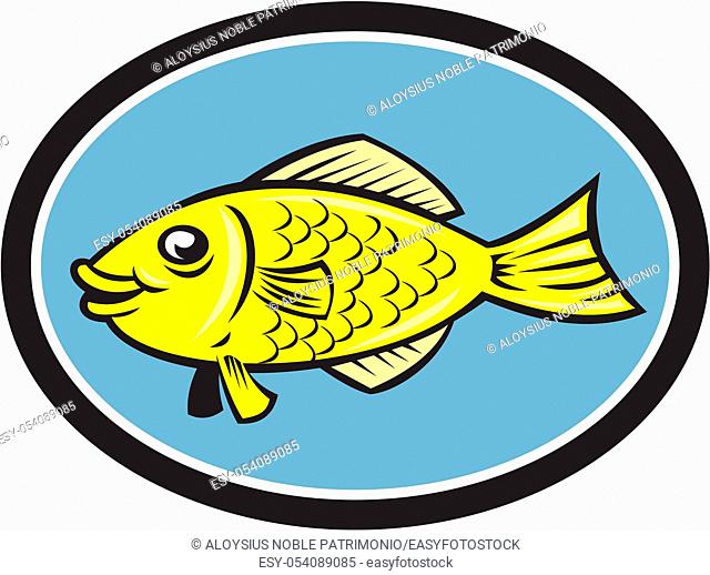 Illustration of a gourami fish viewed from the side set inside oval on isolated background done in cartoon style