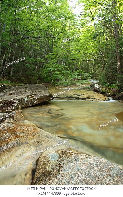 Crystal Brook in the Pemigewasset Wilderness of Lincoln, New Hampshire USA