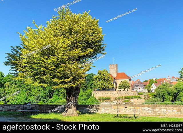 View over the Neckar river to the castle and old town, Lauffen am Neckar, Baden-Württemberg, Germany