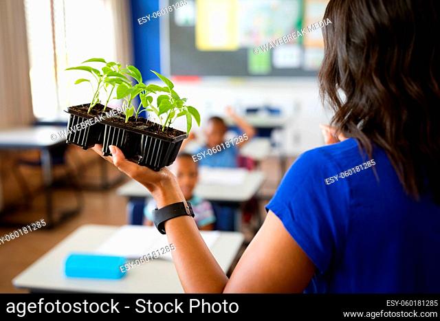 Rear view of female teacher holding plant seedlings while teaching in the class at elementary school