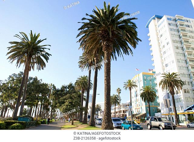 Horizontal view of architecture, palm trees, traffic and people in Palisades Park, Santa Monica, California, USA